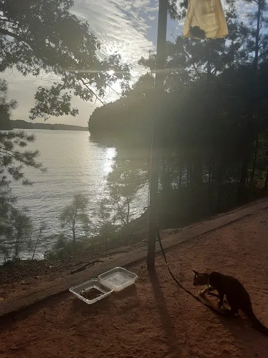 Duckett Mill Campground 9