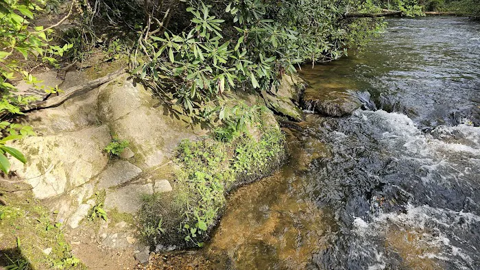 Lindsey Ford, Amicalola River Access 5
