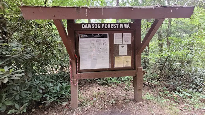 Wildcat Campground 5