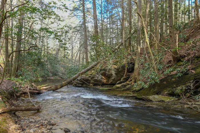 Wildcat Campground 6
