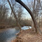 Etowah River Campground