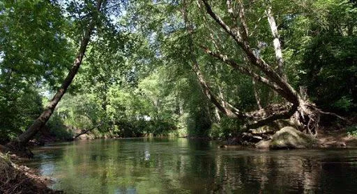Etowah River Campground 7