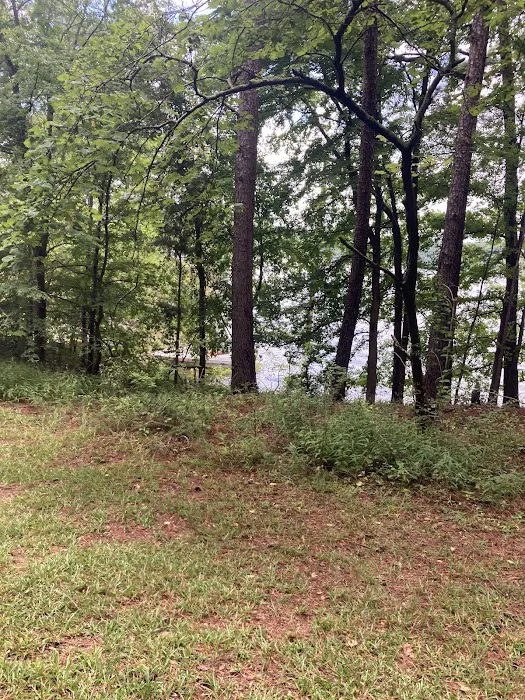 Old Highway 41 #3 Campground 8