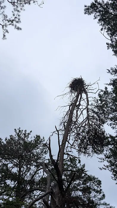 Tugaloo island 9