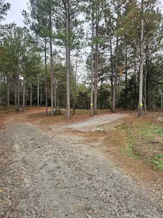 Trails 2 Paradise RV Park 4