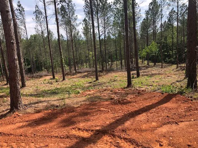 Pine Hill Campground and RV Park 4