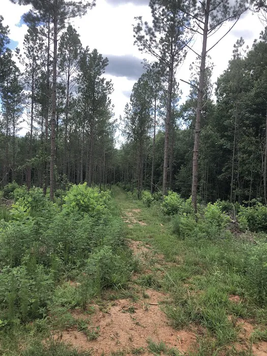 Pine Hill Campground and RV Park 3