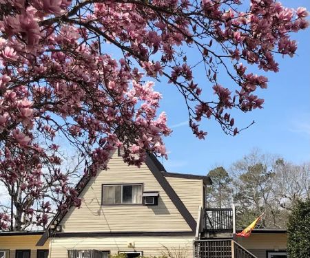 Anderson / Lake Hartwell KOA Holiday