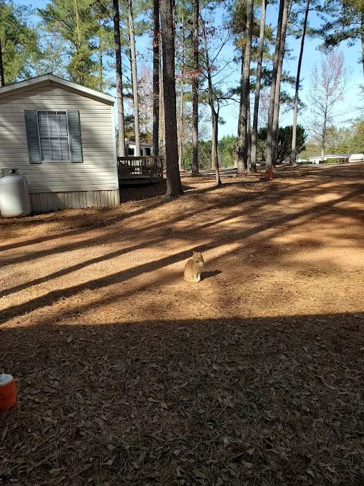 Little Creek RV and Tiny House Resort 5
