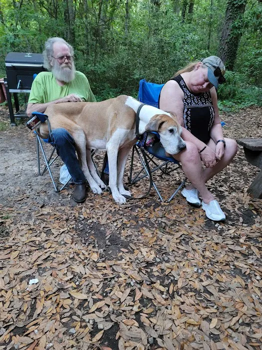 Tuck In De Wood Campgrounds 9