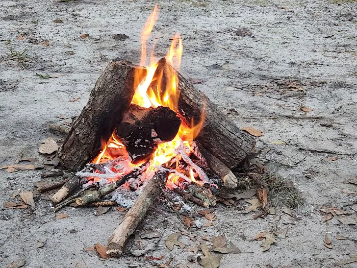 Tuck In De Wood Campgrounds 10