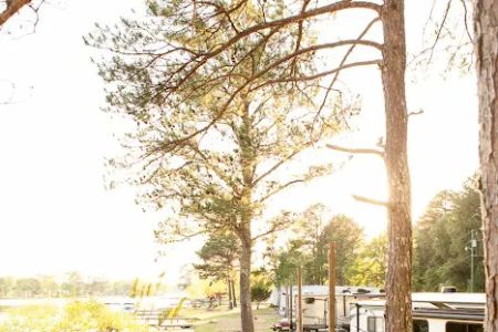 Riverbay Resort