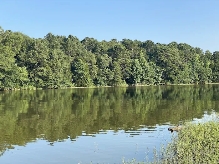 Safe Harbor RV Park 8