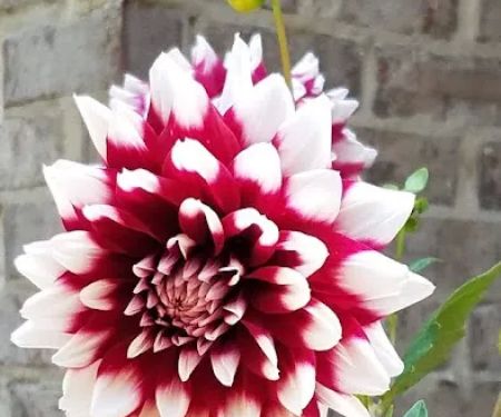 YellowHammer RV Campround