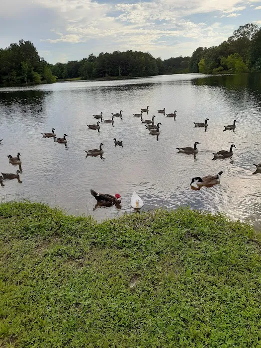 Swan Lake Mobile Home Community 3