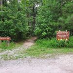 Backcountry Campsites