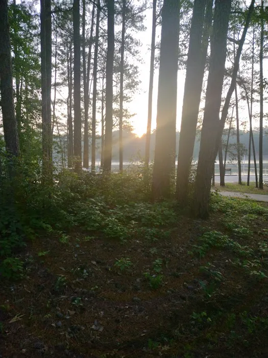 McKaskey Creek Campground 6