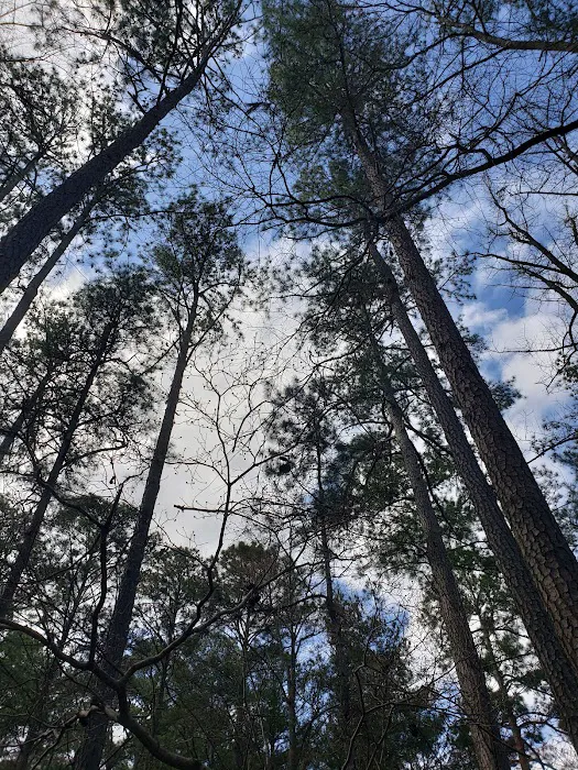 McKaskey Creek Campground 8