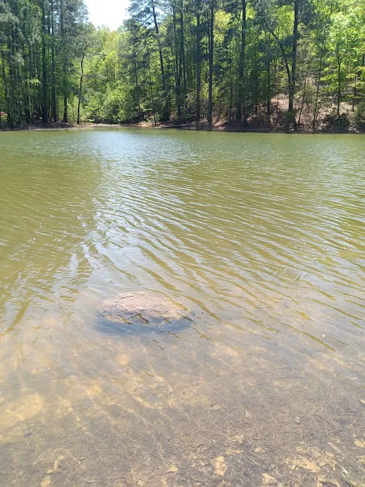Terrapin Creek lot 2
