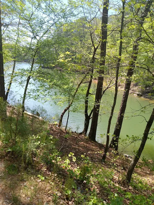 Terrapin Creek lot 6