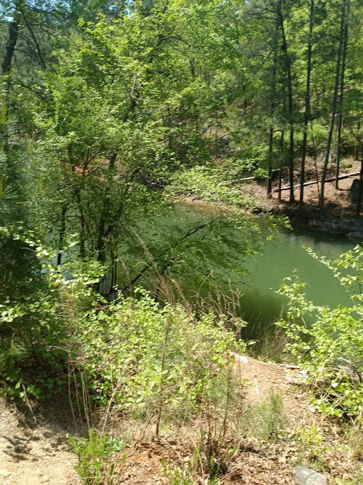 Terrapin Creek lot 5
