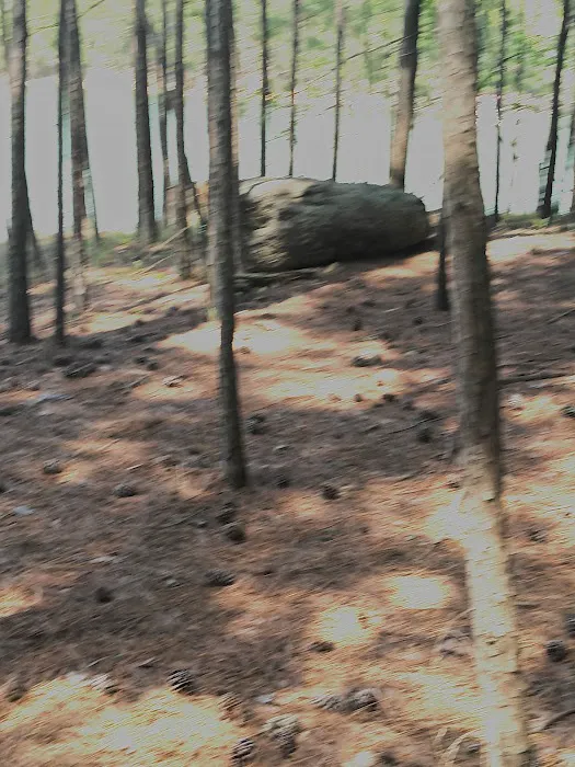 Terrapin Creek lot 9
