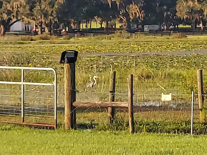 Lakeside Oaks Mobile Home Park 4