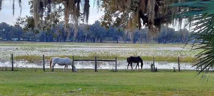Lakeside Oaks Mobile Home Park 6