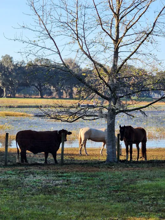 Lakeside Oaks Mobile Home Park 10