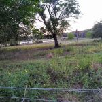 Lakeview In the Hls Mobile Home