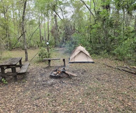 SWFWMD Trial Ford Camp