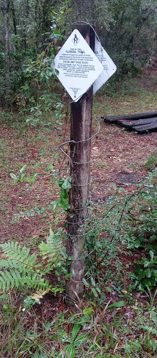 SWFWMD Trial Ford Camp 10