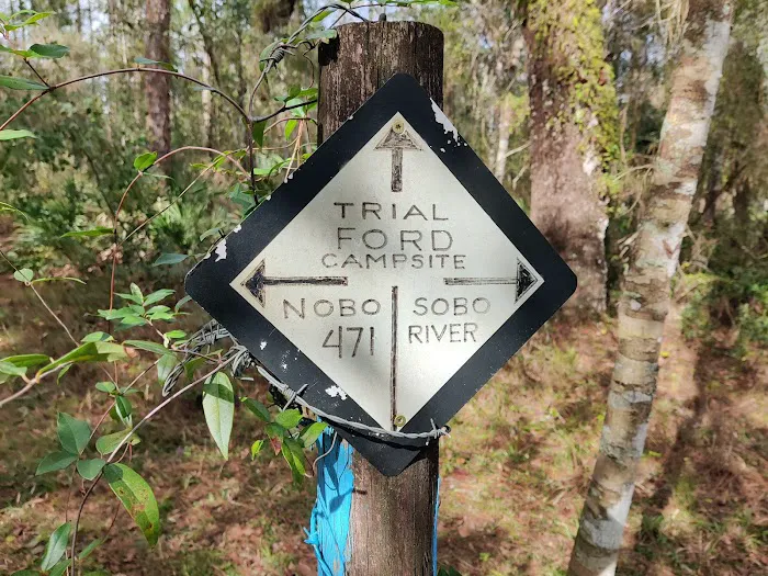 SWFWMD Trial Ford Camp 9
