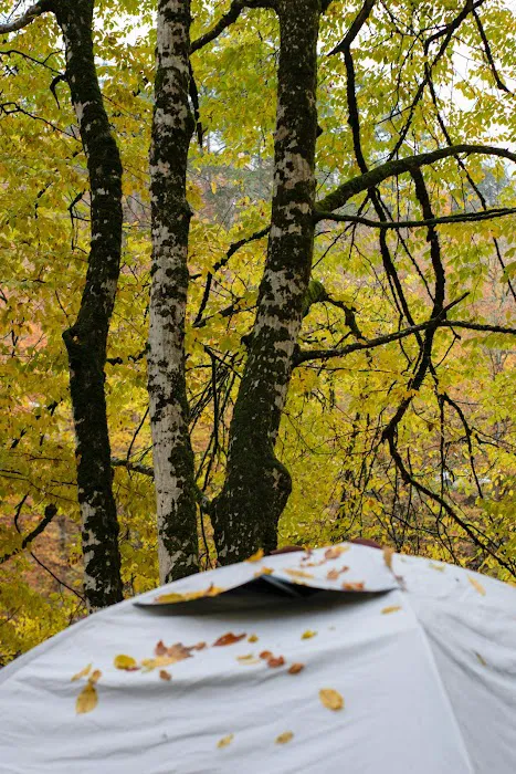 Campground Membership Outlet 7