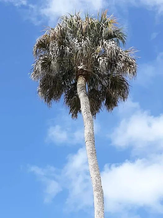 Caribbean estates mobile home park 4