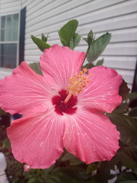 Caribbean estates mobile home park 6