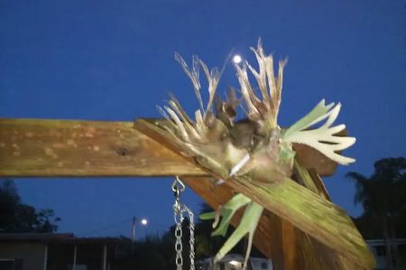 Mockingbird Mobile Home Park