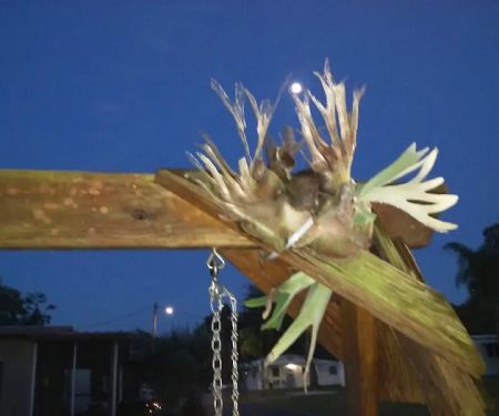 Mockingbird Mobile Home Park