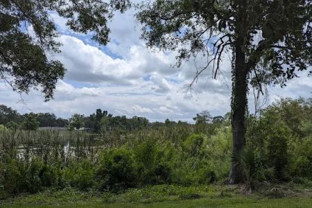 Perch Lake Pavilion