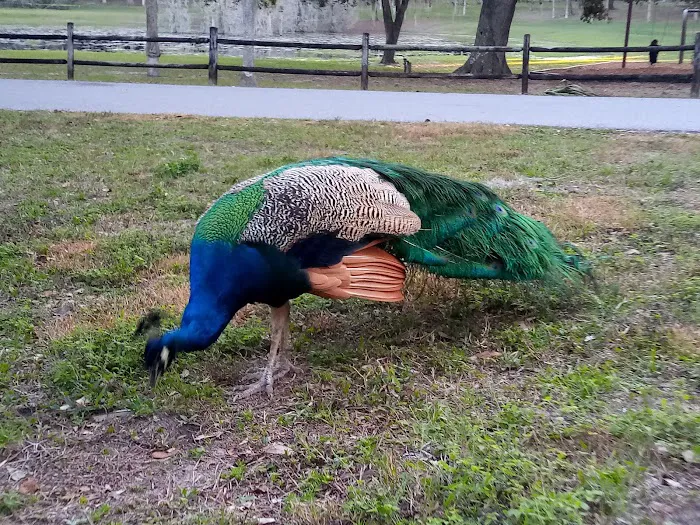 Magnolia Park Campground 2