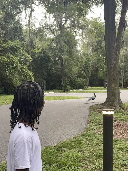 Magnolia Park Campground 10