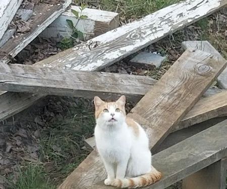 Under the Hemlock LLC