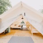 Timberline Glamping at Amicalola Falls