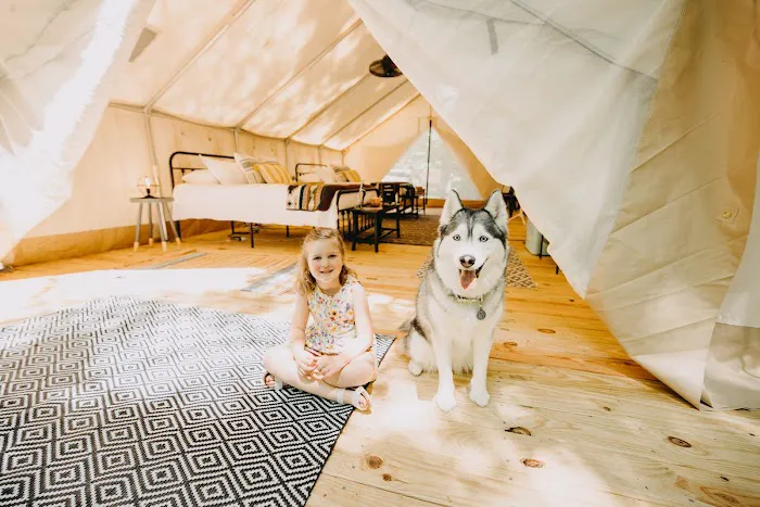 Timberline Glamping at Amicalola Falls 6