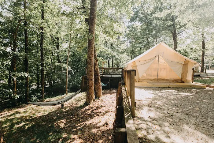 Timberline Glamping at Amicalola Falls 9