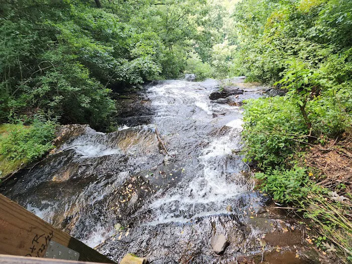 Amicalola Falls Campground 3