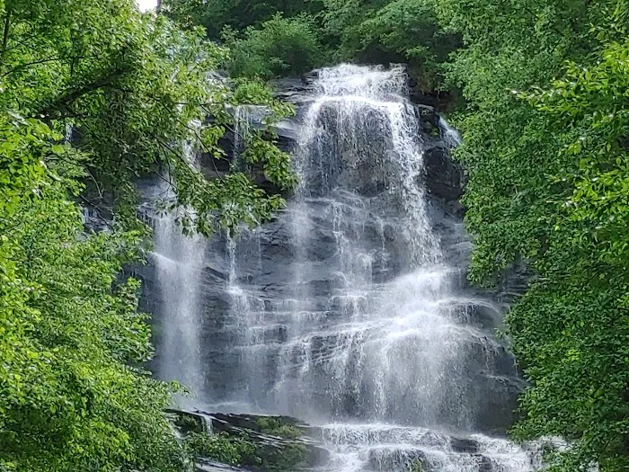 Amicalola Falls Campground 4