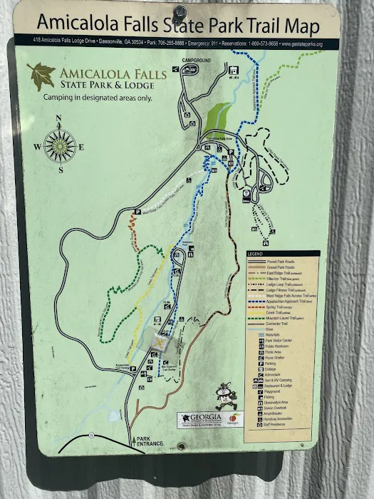 Amicalola Falls Campground 6