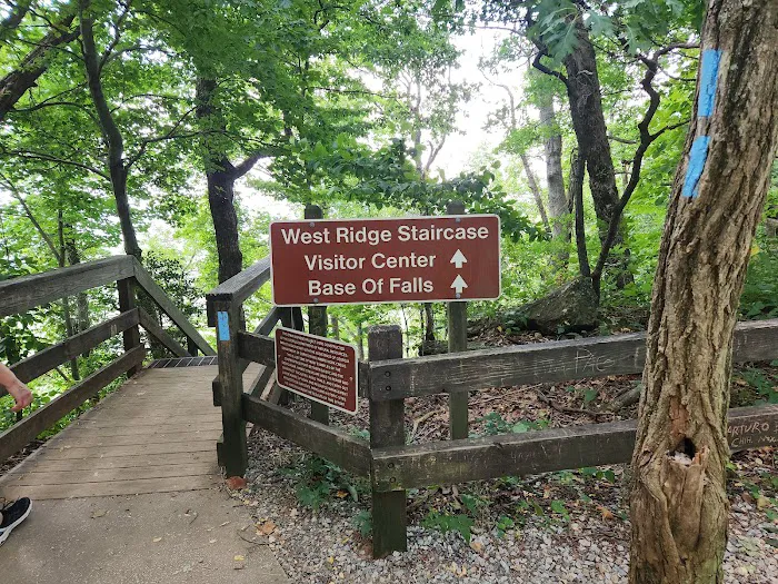 Amicalola Falls Campground 9