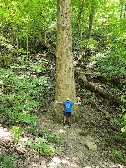 Amicalola Falls Campground 10